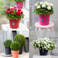 Desch Plantpak introduces two new ornamental pots: ‘MAYCA’ and ‘IMCA Grow&Go’