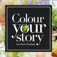 Colour your Story Frühjahr/Sommer 2020
